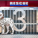 Illustration for article titled Last Call: Heroic firefighters complete a pizza delivery